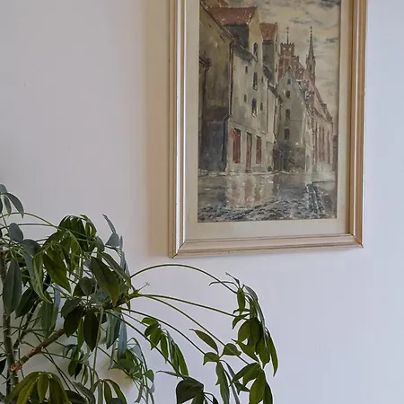 公寓 Modern Gem In Riga's Old Town *